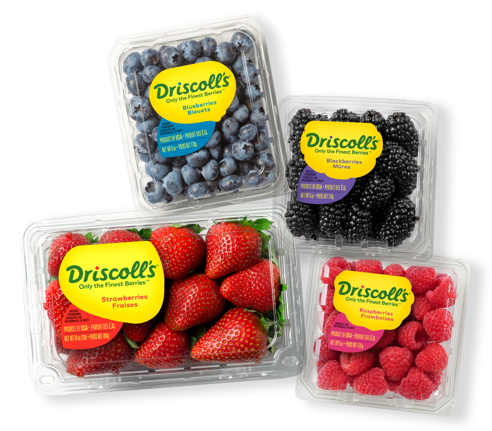 Plastic Thermoforming Food